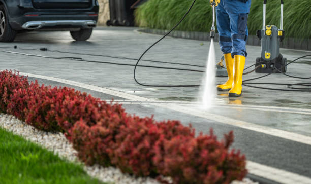 Best Driveway Cleaning and Restoration in Port Jefferson Station, NY